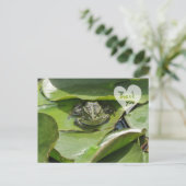 Kikker in het groen Kijken naar u Dank u Briefkaar Briefkaart (Staand voorkant)