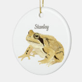 Kikker Keramisch Ornament (Links)