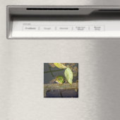 Kikker kijken, magneet (Insitu (Vaatwasser))