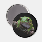 Kikker Magnet Magneet (Voorkant / Achterkant)