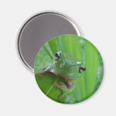 Kikker Magnet Magneet (Voorkant / Achterkant)