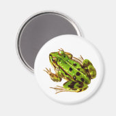 Kikker Magnet Magneet (Voorkant / Achterkant)