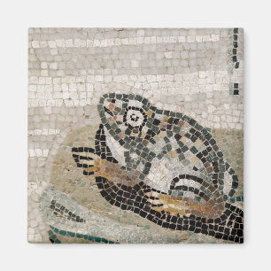 Kikker, nijlmozaïek, uit het Huis van de Faun Magneet