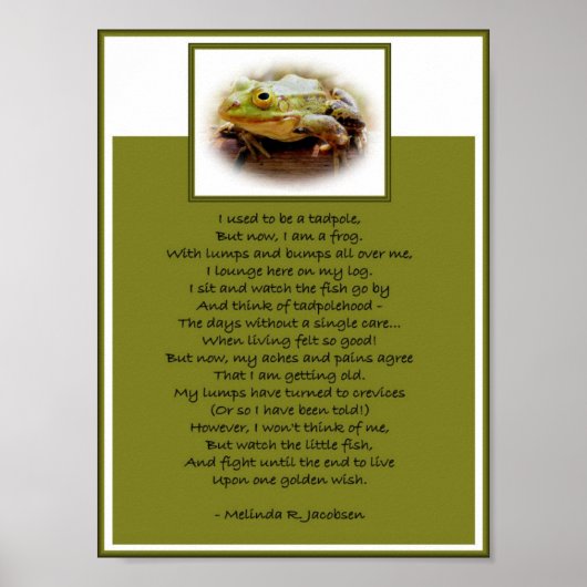 Kikker op een log poster (Voorkant)