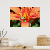 Kikker op een ventilator poster (Keuken)