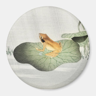 Kikker op lotusblad - Koson magneet