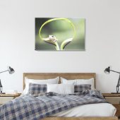 Kikker op plant stam, Biei, Hokkaido, Japan Canvas Afdruk (Insitu (Slaapkamer))