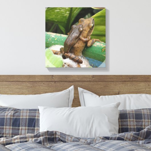 Kikker op rug Canvas Print (Insitu (Slaapkamer))