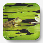 Kikker Papieren Bordje (Voorkant)