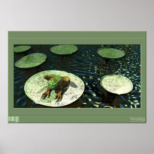 Kikker Poster (Voorkant)