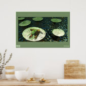 Kikker Poster (Keuken)