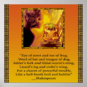 Kikker Poster (Voorkant)