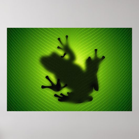 Kikker Poster (Voorkant)