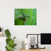 Kikker Poster (Thuiskantoor)