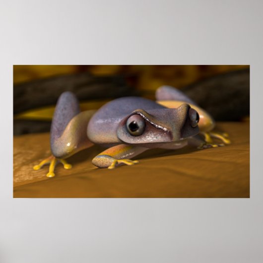 Kikker Poster (Voorkant)