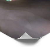 Kikker Poster (Hoek)