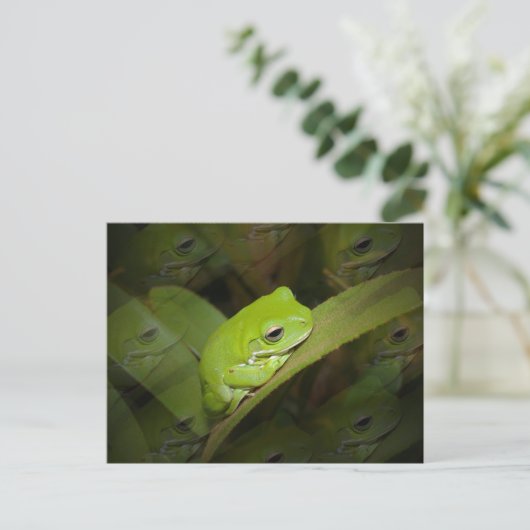 Kikker Reflectie Briefkaart (Staand voorkant)