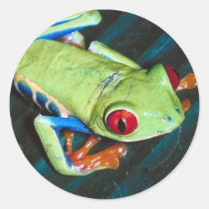 Kikker Ronde Sticker