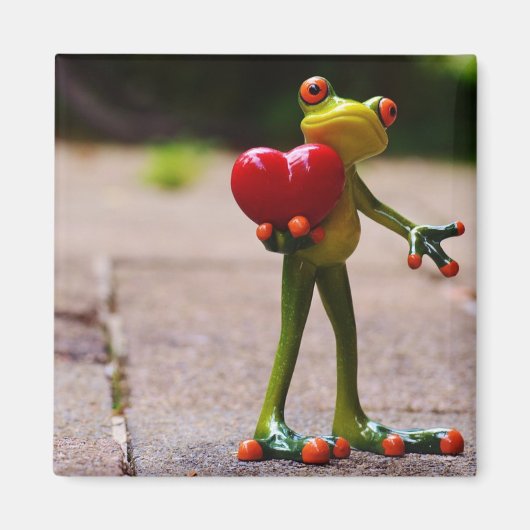 Kikker rood hart magneet (Voorkant)