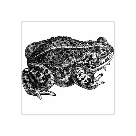 Kikker Rubberstempel (Afrduk)
