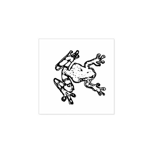 Kikker Rubberstempel (Afrduk)