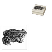 Kikker Rubberstempel Rubberstempel (Gestempeld)