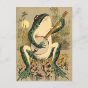 Kikker Serenade Briefkaart