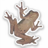 kikker sticker (Voorkant)