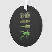 Kikker Tadpole Levenscyclus biologie Ornament (voorkant)