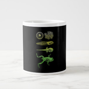 Kikker Tadpole Metamorfose Levenscyclus Biologie Extra Grote Beker