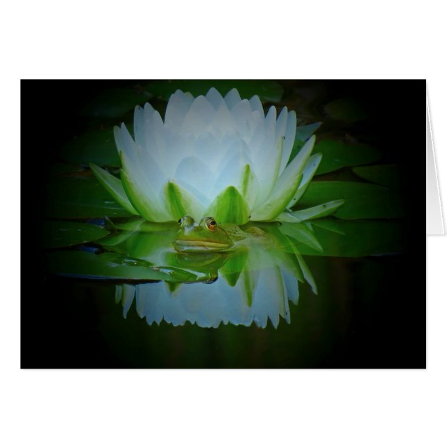 Kikker van de Lily (Voorkant Horizontaal)