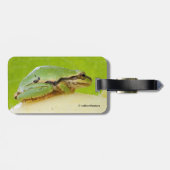 Kikker van de Pacifische pekel op de zomerpomp Bagagelabel (Achterkant horizontaal)