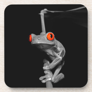 Kikker van de rode oogboom bier onderzetter