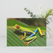 Kikker van de rode oogboom kaart (Staand voorkant)