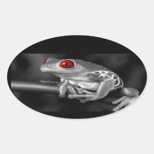 Kikker van de rode oogboom ovale sticker