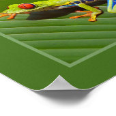 Kikker van de rode oogboom poster (Hoek)