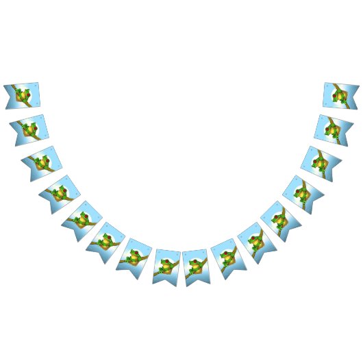 Kikker Vlaggetjes (Alle)