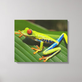 Kikker voor kleurrijke bomen canvas afdruk