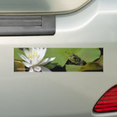 Kikker Water Lily Flower Photo Bumpersticker (Op auto)