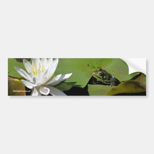 Kikker Water Lily Flower Photo Bumpersticker (Voorkant)