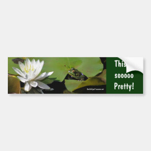 Kikker Waterlelie Inspirerende Bumpersticker