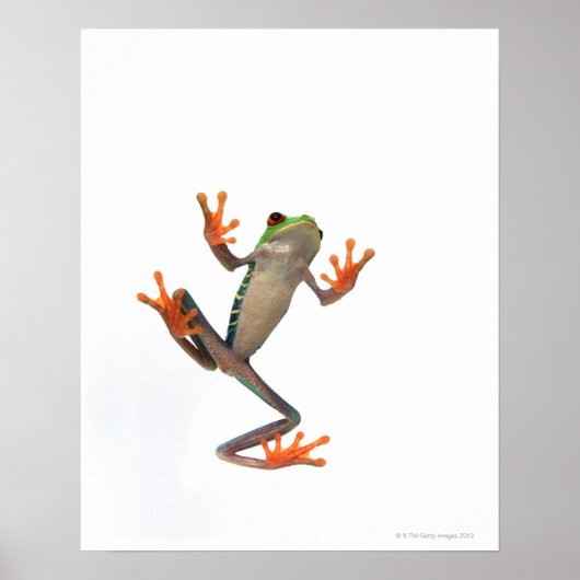 Kikkerbuis Poster (Voorkant)