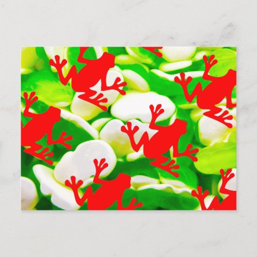 Kikkerdoos Briefkaart (Voorkant)