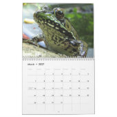 Kikkerkalender Kalender (Mar 2027)