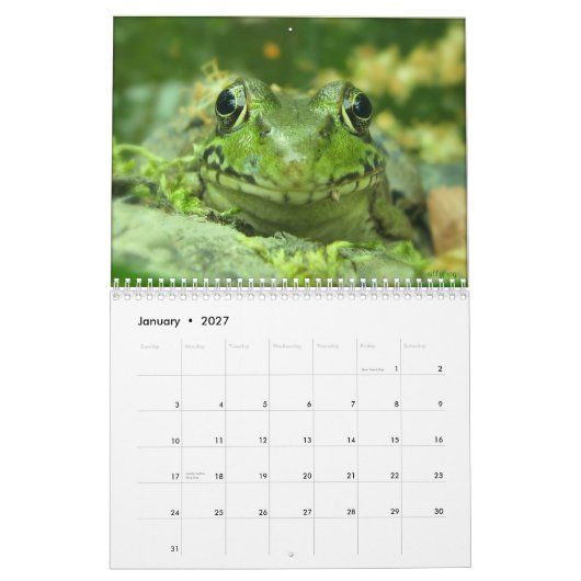 Kikkerkalender Kalender (Jan 2027)