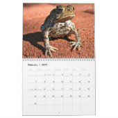 Kikkerkalender Kalender (Feb 2027)