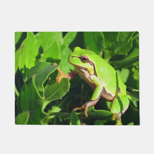 Kikkerklep Deurmat (Voorkant)