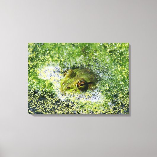 Kikkerogen Canvas Afdruk (Voorkant)