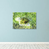 Kikkerogen Canvas Afdruk (Insitu (Houten vloer))