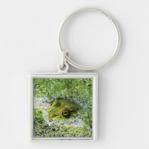 Kikkerogen in een hond sleutelhanger